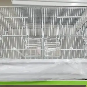 Клетка, Душанбе