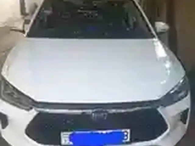 BYD E2