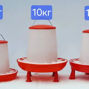 Кормушка/Донхураки почадори мурғу чуҷа, Душанбе