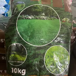 Газон Grass Mixture, Душанбе