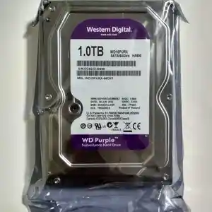 Жёсткий диск WD Purple 1TB, Душанбе