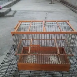 Кафас, Худжанд