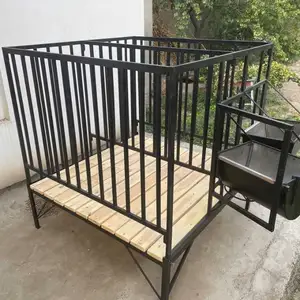 Клетка для баранов, Худжанд