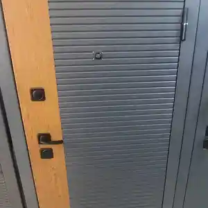 Железная дверь, Душанбе