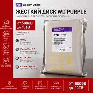 Жесткие диски WD Purple, Душанбе