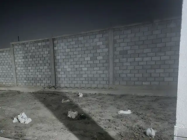 Харгуш, Худжанд