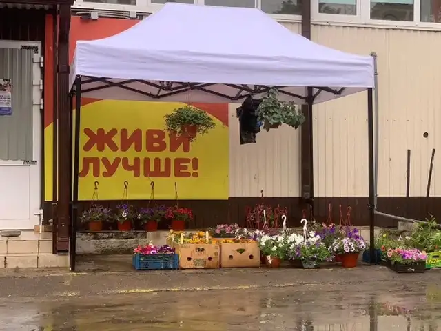 Зонтик, Душанбе