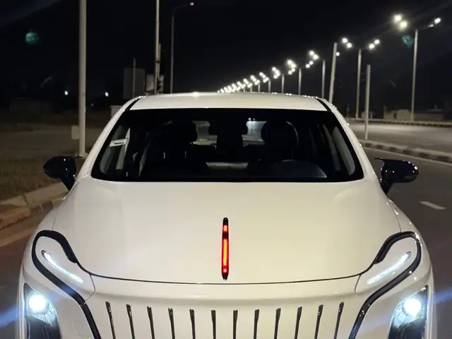 Hongqi E-QM5