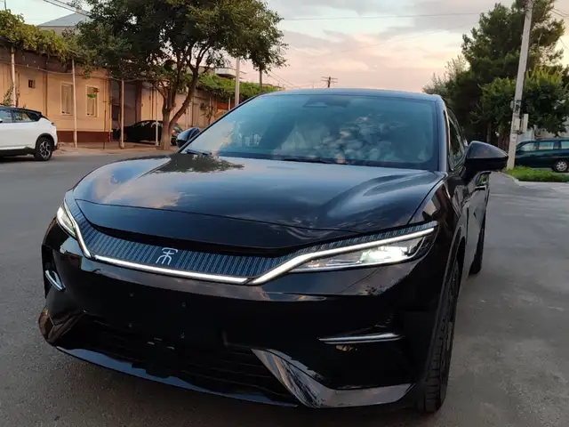 BYD Song L, 2025, Душанбе - 4