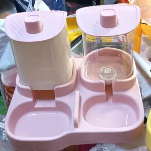 Кормушка для кошек, Худжанд