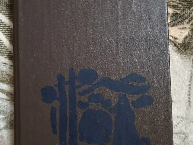 Книга Б. А. Костюковский, Избранное, Худжанд