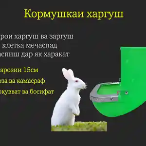 Кормушка/Донхураки харгуш сабз, Душанбе