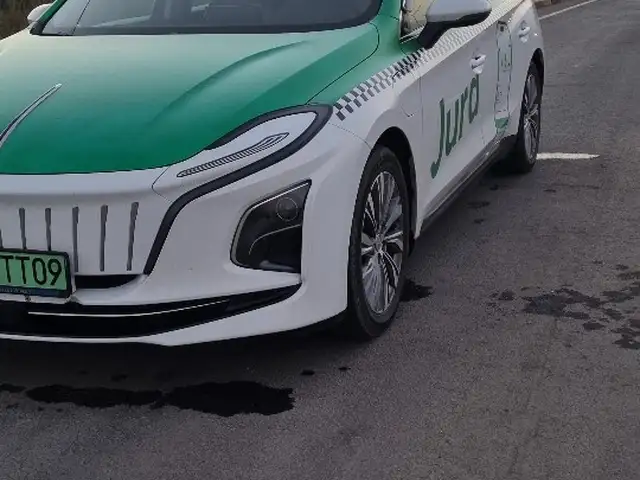 Hongqi E-QM5