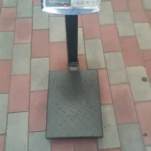 Тарозу, Душанбе