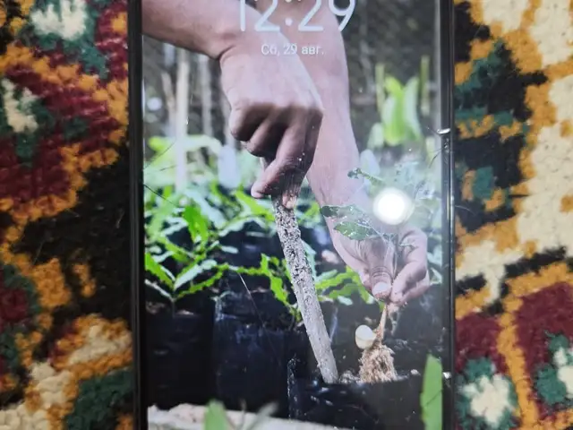 Tecno Spark 20, Ҳисор