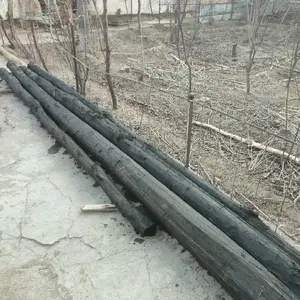Древесина Сафедор, Бободжон Гафуров