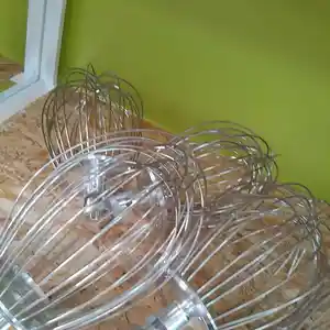 Венчик, Душанбе