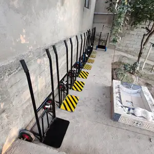 Ароба барои магоза, Душанбе