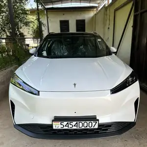 Dongfeng Hedmos 06
