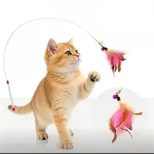 Игрушка для кошек, Душанбе