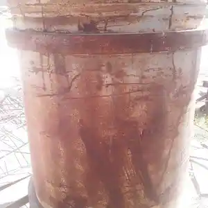 Бочка, Хамадани