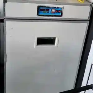 Инкубатор, Душанбе