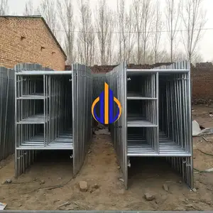 Строительные леса, Душанбе