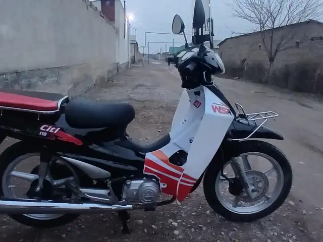 Скутер утка, Худжанд