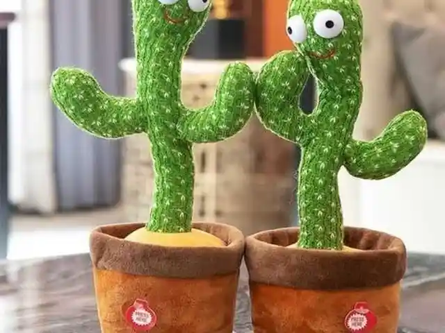 Говорящий кактус, Душанбе