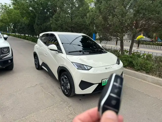 BYD Seagull