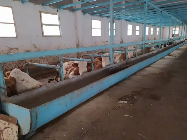 Помещение под промышленное назначение, 1500м², Сартукай, Хуҷанд