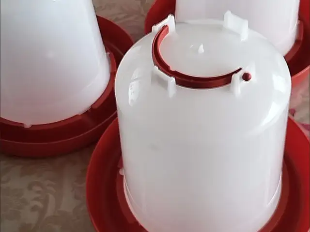 Обхурак/поилка, Душанбе