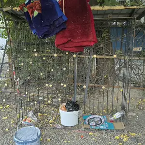 Решетка для окна, Душанбе
