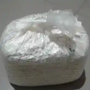 Мицелий грибы вишенки, Душанбе