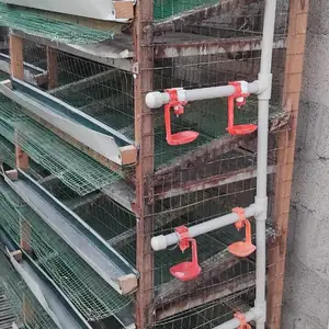 Клетка для птиц, Турсунзаде