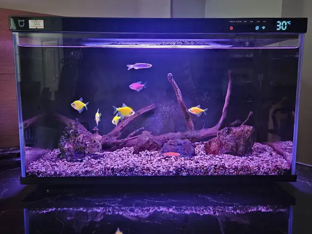 Умный аквариум Xiaomi Mijia Smart Fish Tank, Душанбе