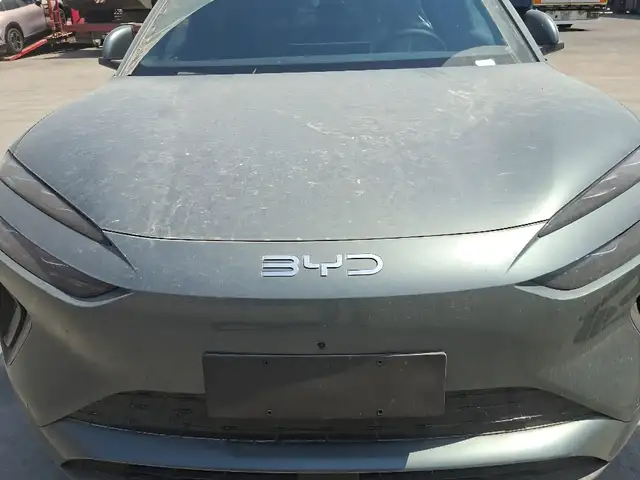BYD Sea Lion 06