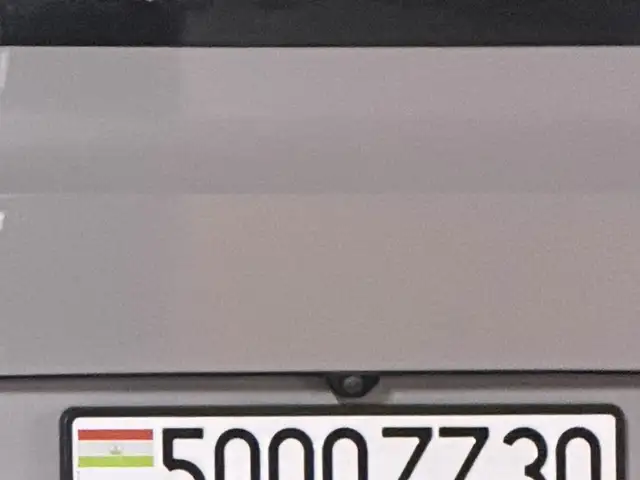 Гос. номер 5000ZZ30, Душанбе