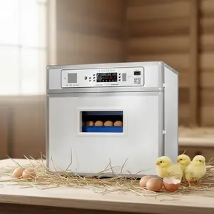 Инкубатор на заказ, Душанбе