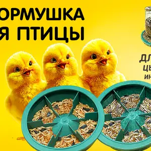 Донхурак/Кормушка под банку, Душанбе