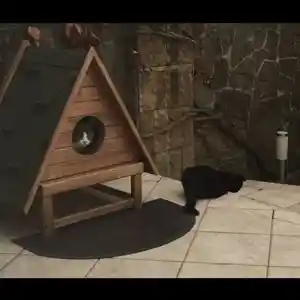 Домик для котят, Душанбе