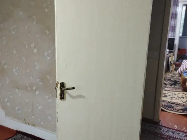 Межкомнатные двери, СССР, Душанбе