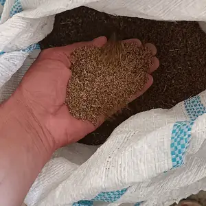 Местный рушка, Джалолиддин Балхи (Руми)