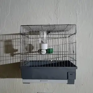 Клетка, Душанбе