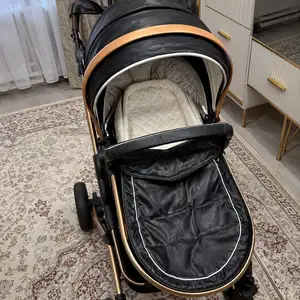 Коляска, Душанбе