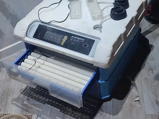 Инкубатор 120, Душанбе