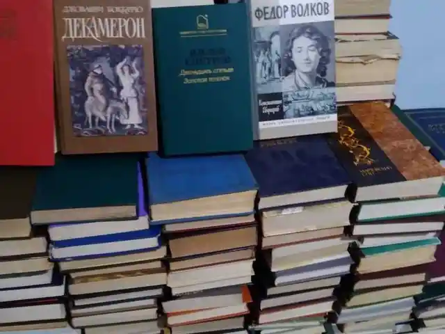 Комплект книг, Рогун