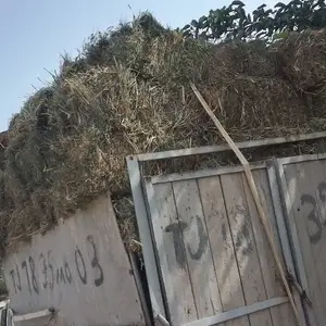 Пресс, Восе