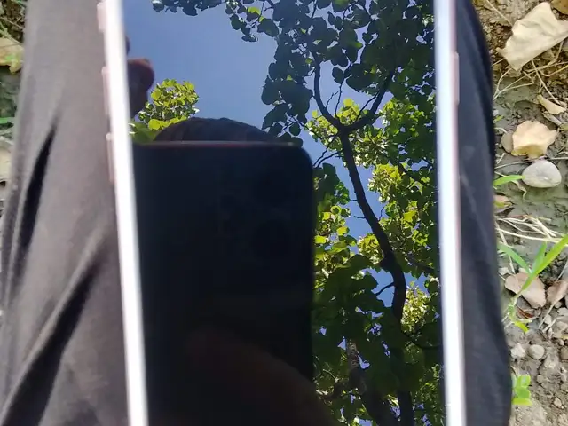 Apple iPhone 8, 64 gb, Gold, Конибодом