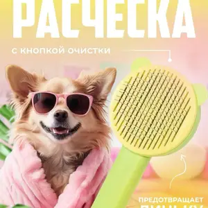 Расческа для кошек и собак, Худжанд